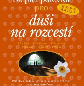 Slepičí polévka pro duši na rozcestí (Jack Canfield) (česky)