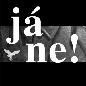 Já ne! (Joachim Fest) (česky)