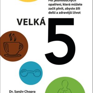 Velká pětka (David Fisher) (česky)