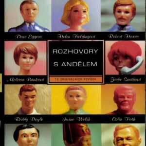 Rozhovory s andělem (Nick Hornby) (česky)