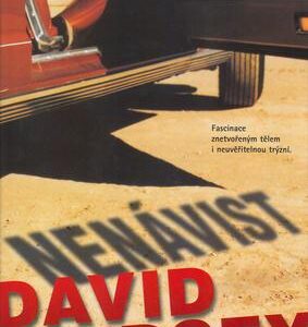 Nenávist (David Lindsey) (česky)