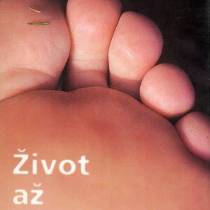 Život až po chlapy (Thomas Brussig) (česky)