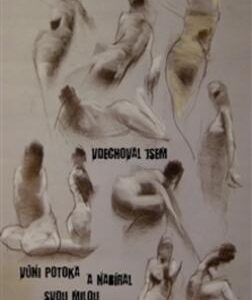 Vdechoval jsem vůni potoka a nabíral svou milou do paměti (Miroslav Stoniš) (česky)