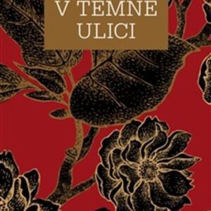 Láska v temné ulici (Irwin Shaw) (česky)