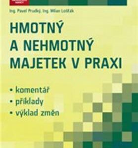 Hmotný a nehmotný majetek v praxi 2012 (česky)