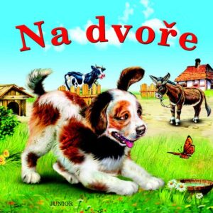 Na dvoře (Zuzana Pospíšilová) (česky)