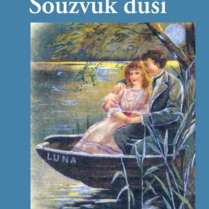 Souzvuk duší (Slávka Krbová) (česky)