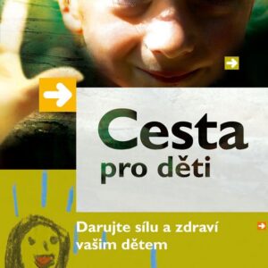 Cesta pro děti (Brandon Bays) (česky)