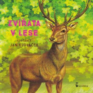 Zvířata v lese (česky)