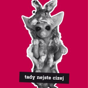 Tady nejste cizej (Adam Haslett) (česky)