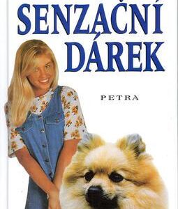 Senzační dárek (Irena Brandejsová) (česky)