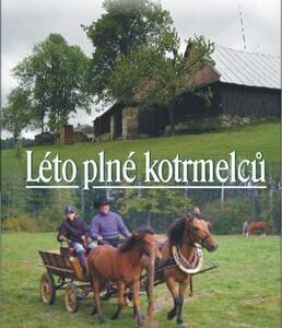 Léto plné kotrmelců (Věra Řeháčková) (česky)