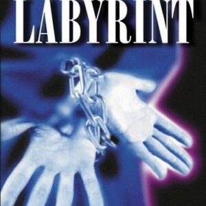 Labyrint (Henry Denker) (česky)