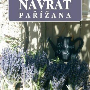 Návrat Pařížana (Stagg Julia) (česky)