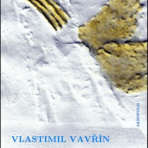 S Drákulou do nebe (Vlastimil Vavřín) (česky)