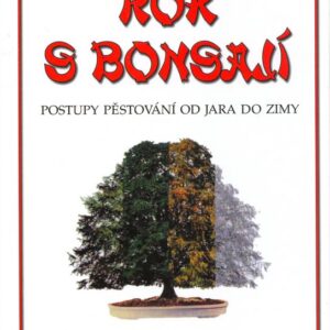 Rok s bonsají (Petr Říha) (česky)