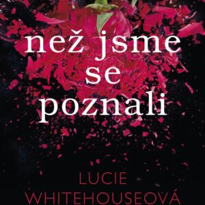 Než jsme se poznali (Lucie Whitehouseová) (česky)