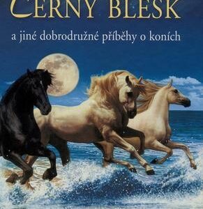 Černý blesk (Jenny Oldfield) (česky)