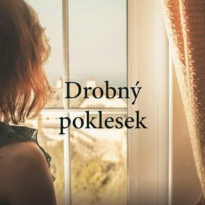 Drobný poklesek (Ellisonová Jan) (česky)