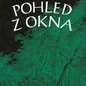 Pohled z okna (Karel Švestka) (česky)