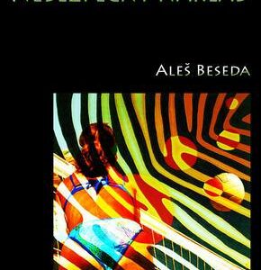Nebezpečný náklad (Aleš Beseda) (česky)