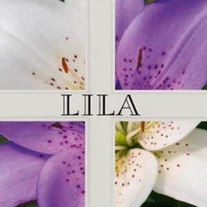 Lila (Marilynne Robinson) (česky)