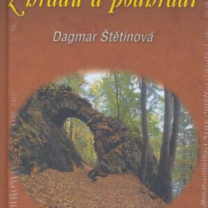 Pohádky a pověsti z českých hradů a podhradí (Dagmar Štětinová) (česky)