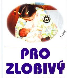 Průvodce mateřstvím pro zlobivý holky (Jana Divišová) (česky)