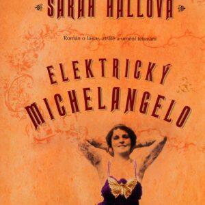 Elektrický Michelangelo (Sarah Hall) (česky)