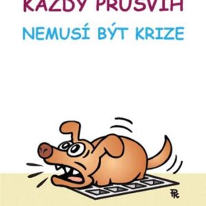 Každý průšvih nemusí být krize (Michal Vaněček) (česky)