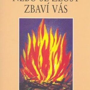 Zbavte se zlosti nebo se zlost zbaví vás (J.P. Vaswani) (česky)