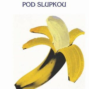 Velvet Underground (Jovanovic Rob) (česky)