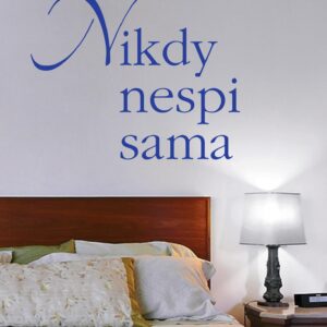 Nikdy nespi sama (Alex Schiller) (česky)