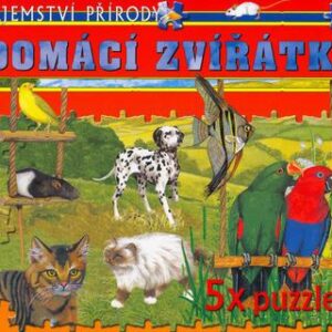 Domácí zvířátka (česky)