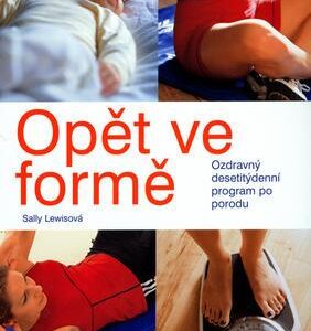 Opět ve formě  - Ozdravný desetitýdenní program po porodu (Sally Lewis) (česky)