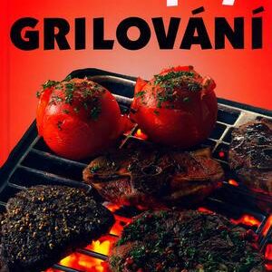 Recepty - Grilování (česky)