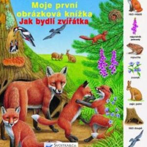 Jak bydlí zvířatka (Dagmar Steidlová) (česky)