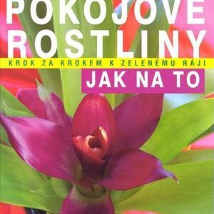 Pokojové rostliny – jak na to (Anja Flehmig) (česky)
