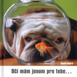 Oči mám jenom pro tebe (David Baird) (česky)