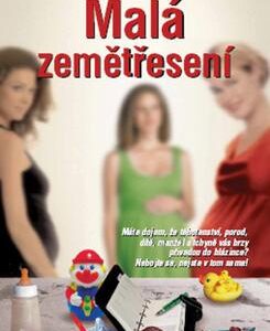 Malá zemětřesení (Jennifer Weiner) (česky)