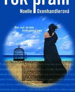 Rok přání (Noelle Oxenhandlerová) (česky)