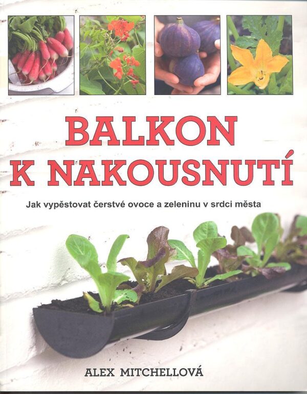 Balkon k nakousnutí (Mitchellová Alex) (česky)