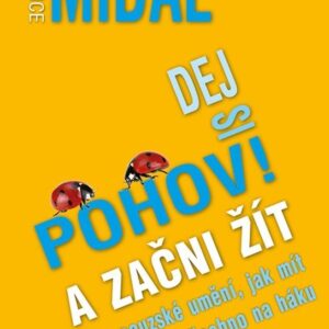 Dej si pohov! A začni žít - Francouzské umění jak mít všechno na háku (Fabrice Midal) (česky)
