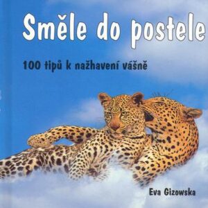Směle do postele - 100 tipů k nažhavení vášně (Eva Gizowska) (česky)