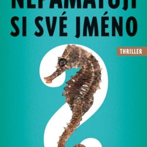 Nepamatuji si své jméno (J. S. Monroe) (česky)