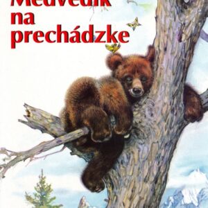 Medvedík na prechádzke