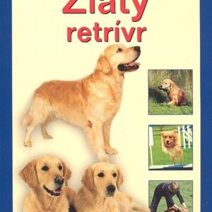 Zlatý retrívr (Bernard Bargh) (česky)