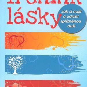 Trénink lásky Jak si najít a udržet spřízněnou duši (Ariana Gee) (česky)