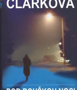 Pod rouškou noci (Mary Higgins Clark) (česky)