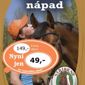 Stříbrné podkovy 10 Báječný nápad (Allison Estes) (česky)